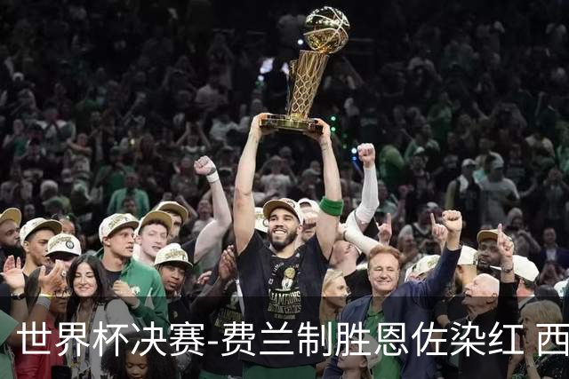 世界杯决赛-费兰制胜恩佐染红 西班牙加时1-0阿根廷夺冠