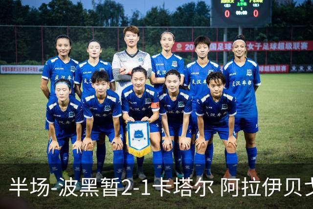 半场-波黑暂2-1卡塔尔 阿拉伊贝戈维奇世界波破门哲科造乌龙