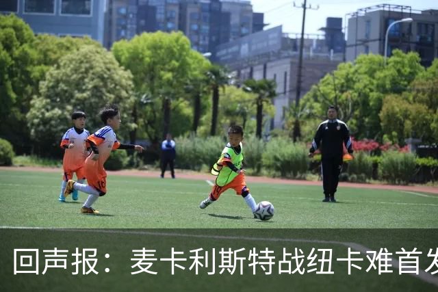 回声报：麦卡利斯特战纽卡难首发，阿劳霍或搭范戴克