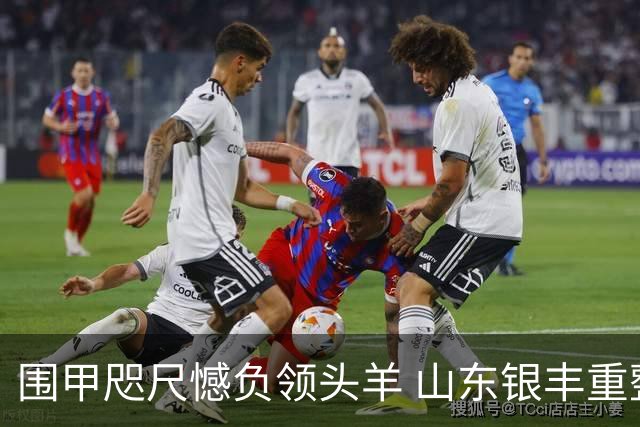 围甲咫尺憾负领头羊 山东银丰重整锋芒再出征