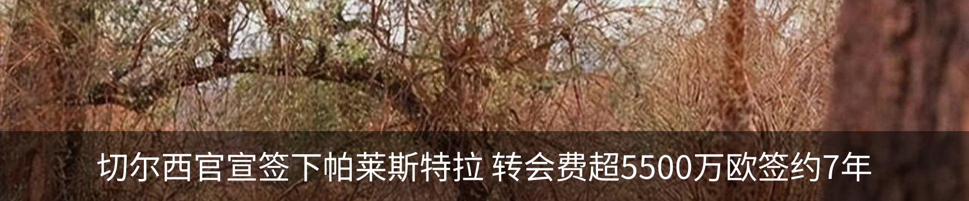 新闻中心