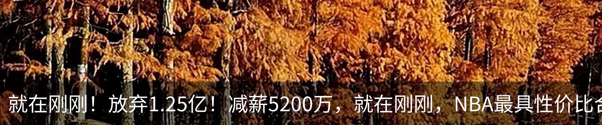 新闻中心