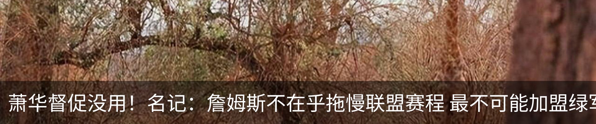 新闻中心