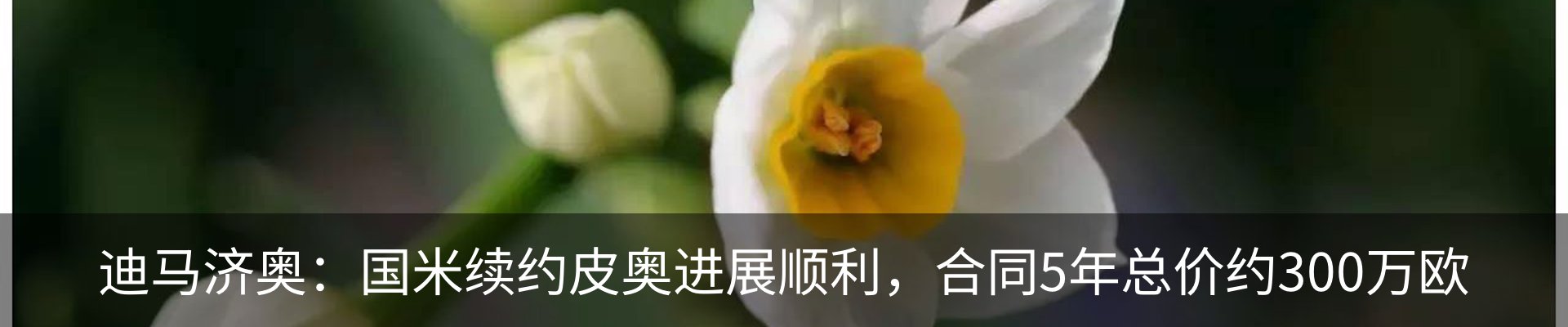 新闻中心