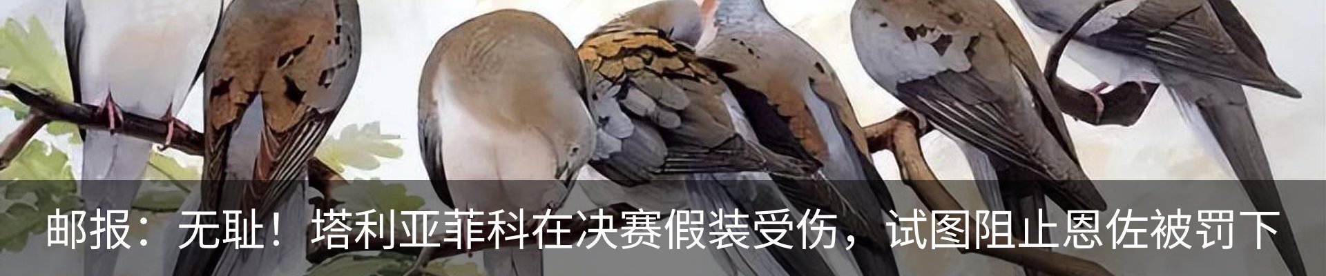 新闻中心